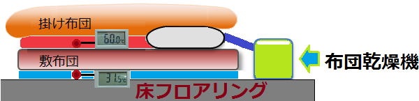 布団乾燥機でダニは死ぬか